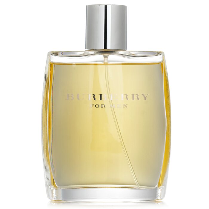 Burberry Burberry Edt Spray 100ml
