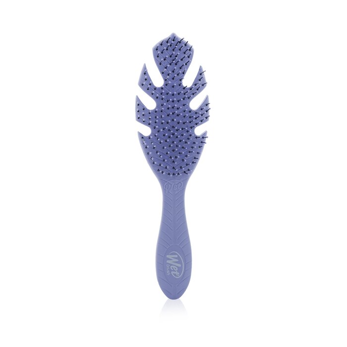 Wet Brush Go Green Detangler - 